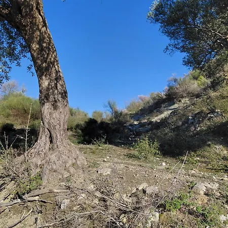 House In The Village 1 *