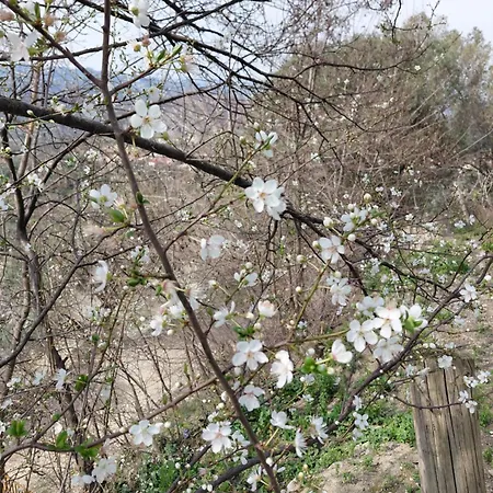 House In The Village 1 *