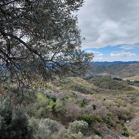 House In The Village 1 *