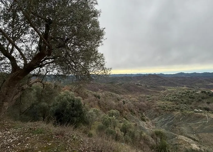 Villa House In The Village 1