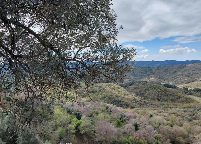 House In The Village 1 *