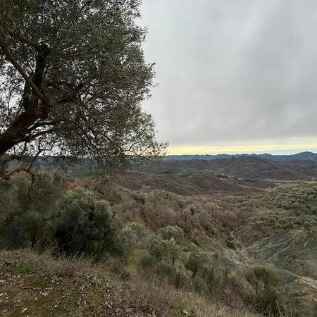 فيلة House In The Village 1