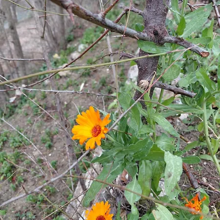 House In The Village 1 Villa *