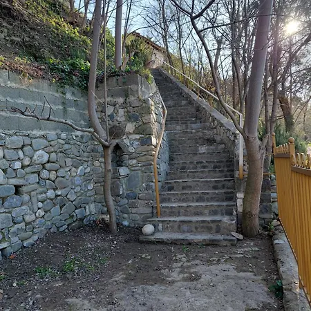 House In The Village 1 فيلة *