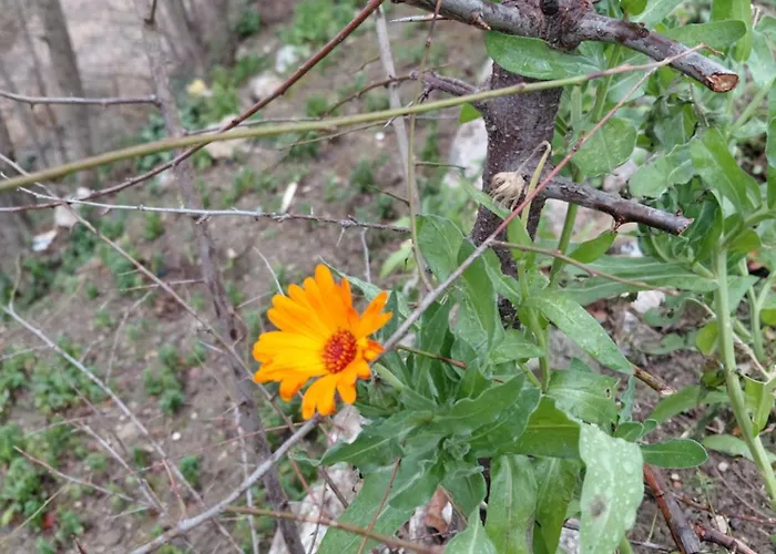 House In The Village 1 Villa *