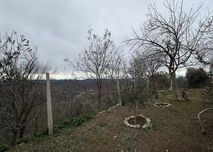 House In The Village 1 *