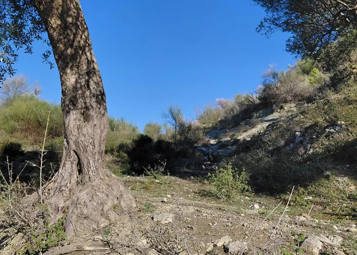 House In The Village 1 *