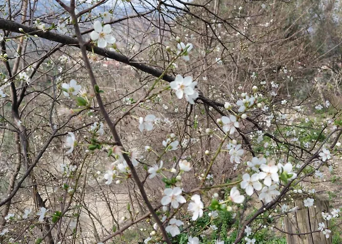 House In The Village 1 *